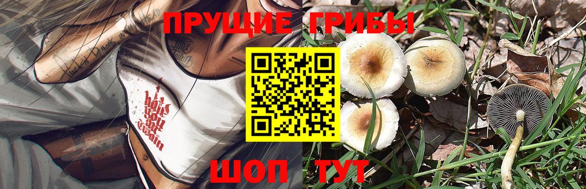 Псилоцибиновые грибы прущие грибы  Вход с VPN  Солнечногорск 
